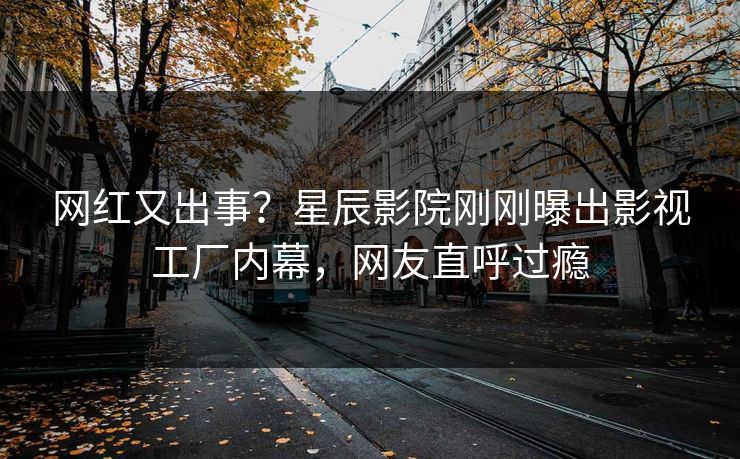 网红又出事？星辰影院刚刚曝出影视工厂内幕，网友直呼过瘾