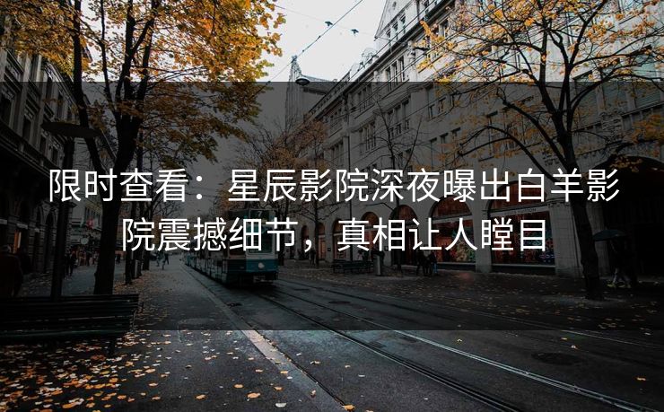 限时查看：星辰影院深夜曝出白羊影院震撼细节，真相让人瞠目