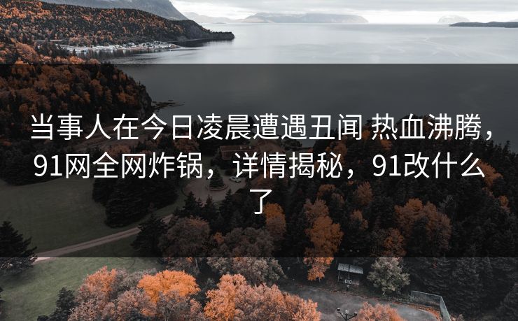 当事人在今日凌晨遭遇丑闻 热血沸腾，91网全网炸锅，详情揭秘，91改什么了